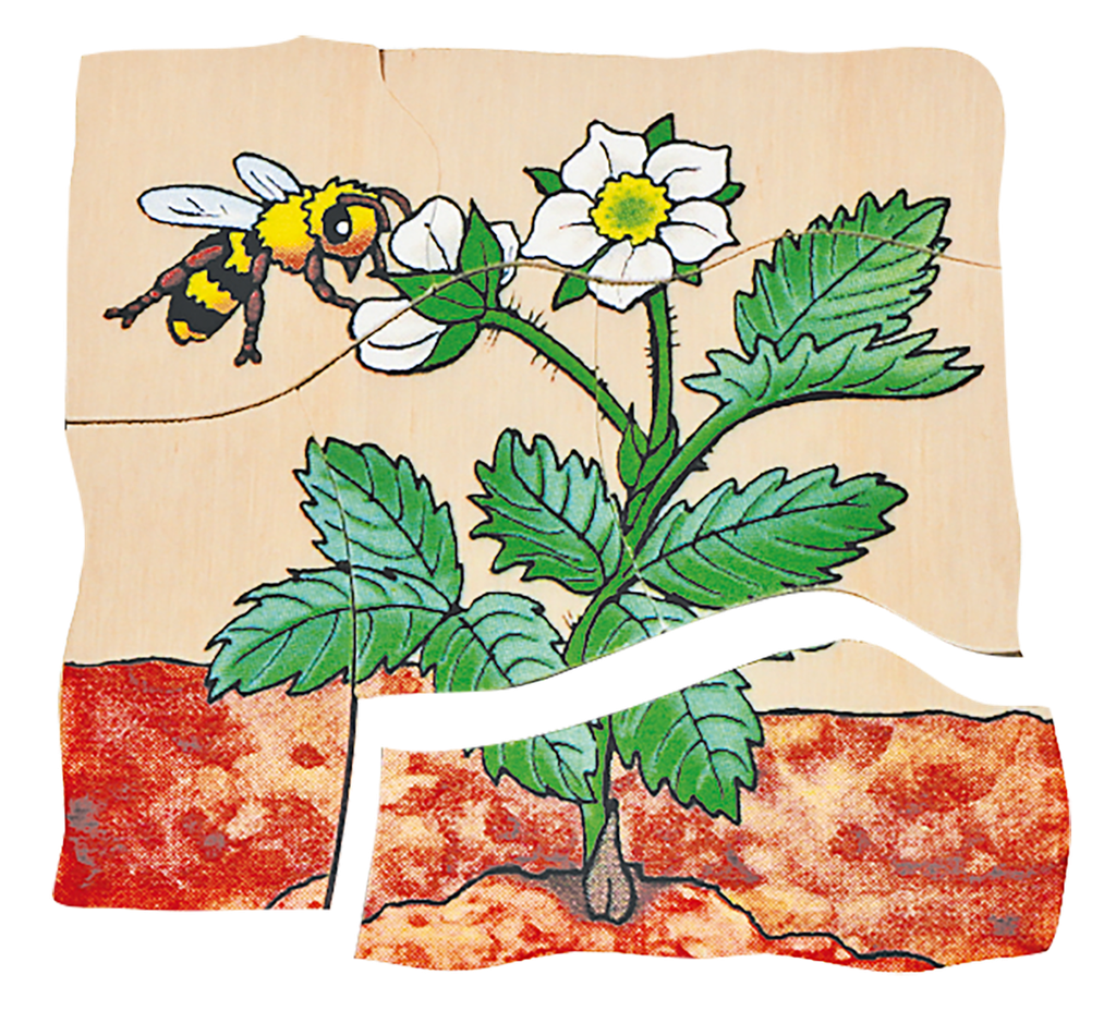 Lagen-Puzzle "Erdbeere"