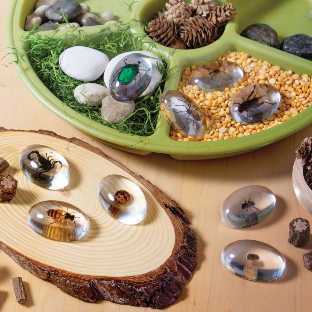 Acryltiere - Insekten