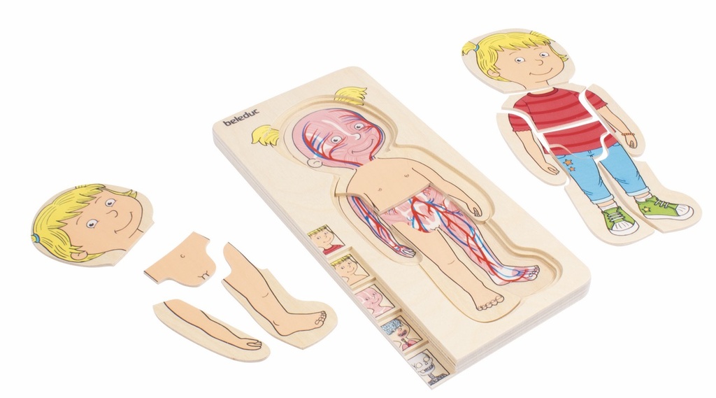 Lagen-Puzzle "Dein Körper Mädchen"