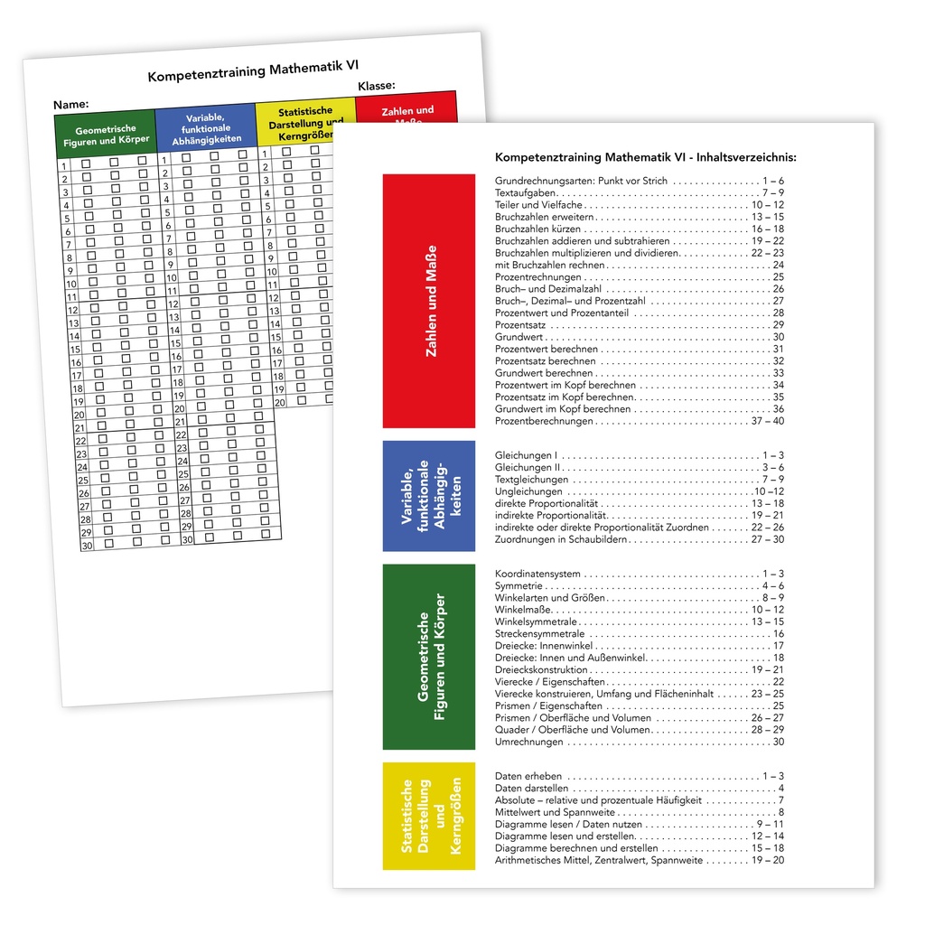 Kompetenztraining Mathematik VI - Kompakt