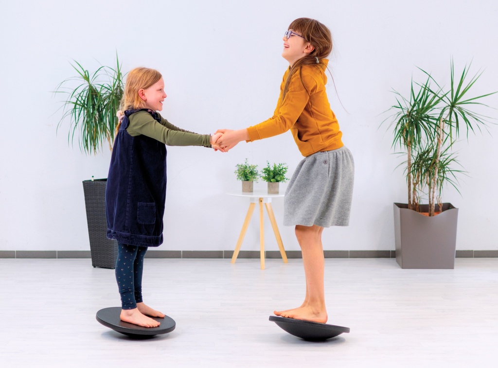 GymTop Balancierkreisel