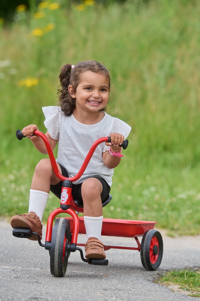 Mini Krippendreirad mit Wanne