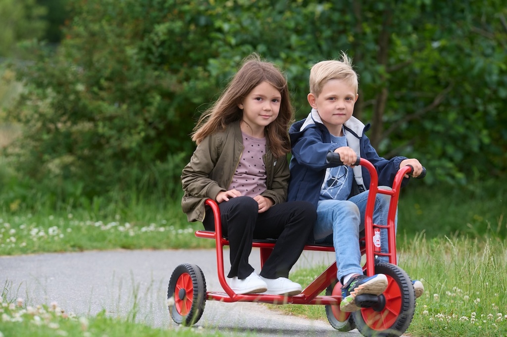VIKING SideBySide Taxi
