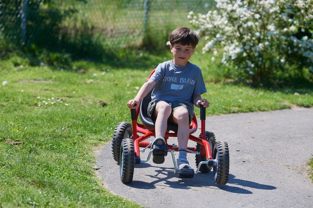 Viking Explorer Fun Cart Large