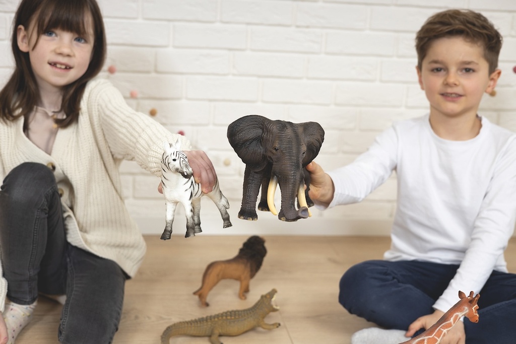 Bauernhof-Tiere, 5 teilig