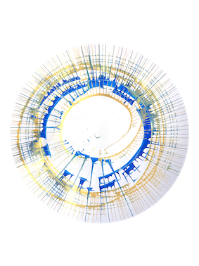Rundfolie - 50er Set