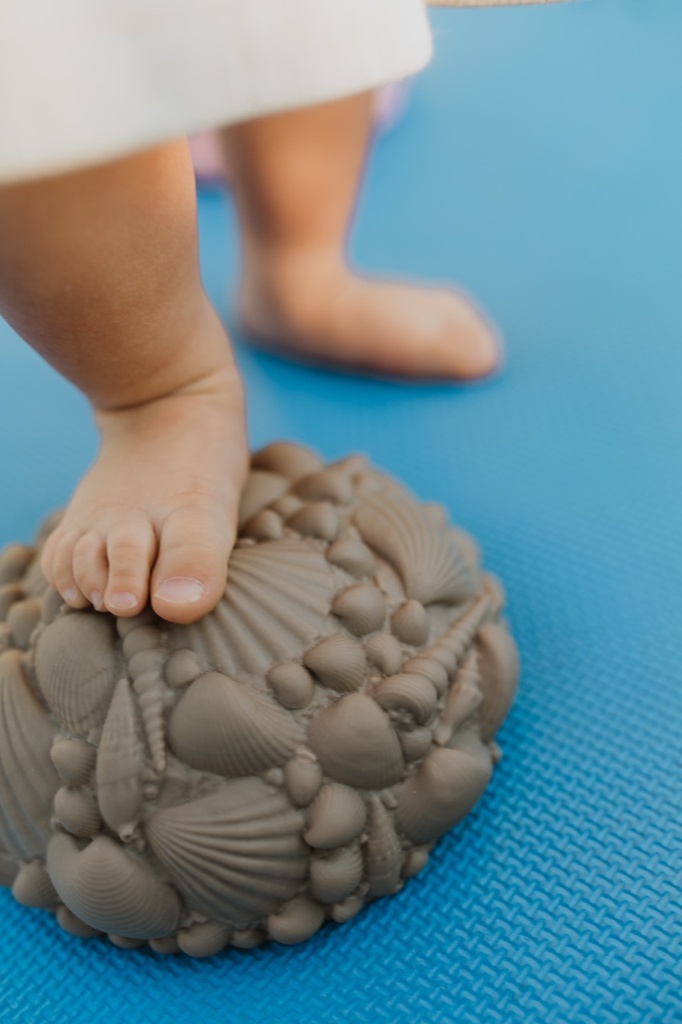 Balanciersteine - Muscheln