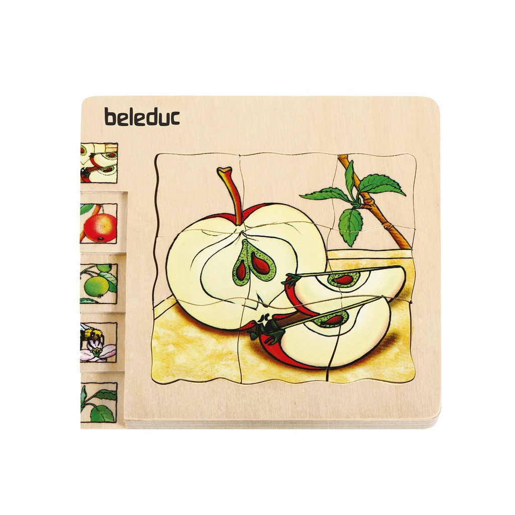 Lagen-Puzzle "Apfel"