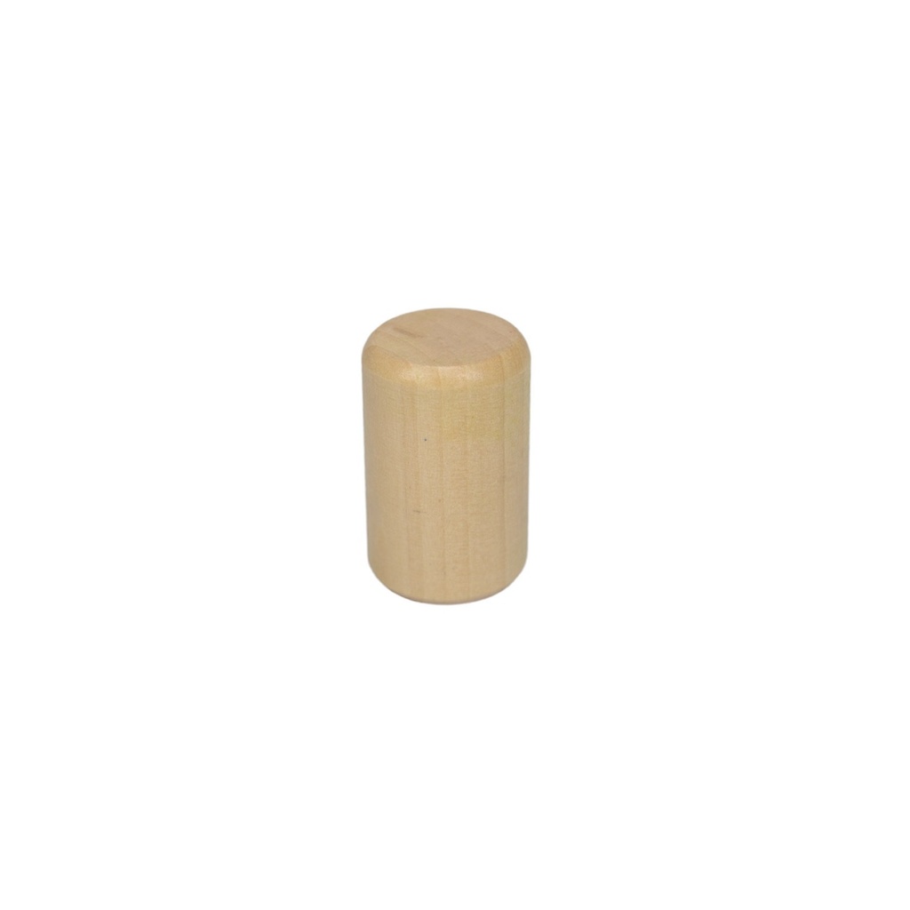 Magnetstift für Farbschleuder (Knopf der das Papier hält)