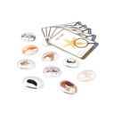 Beobachtungsgläser - Meereslebewesen