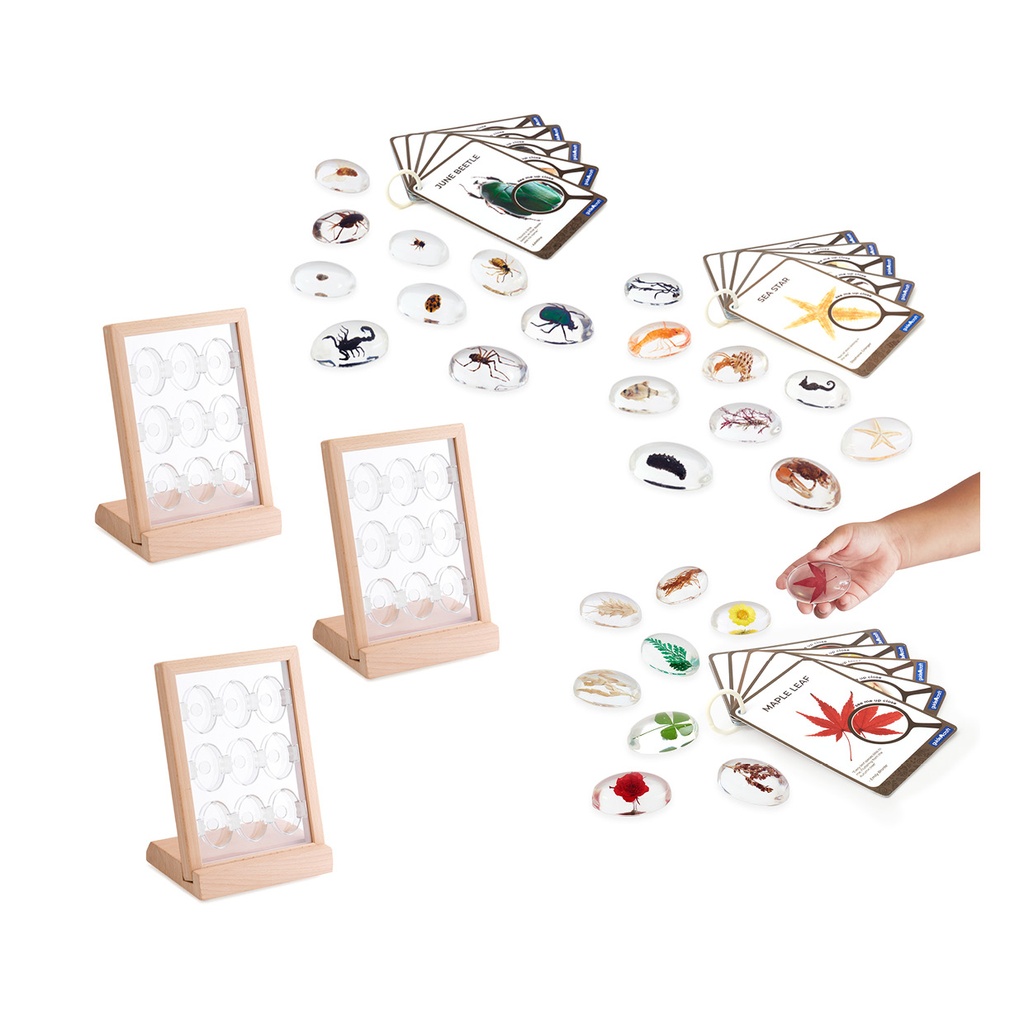 Beobachtungsgläser & Display Set
