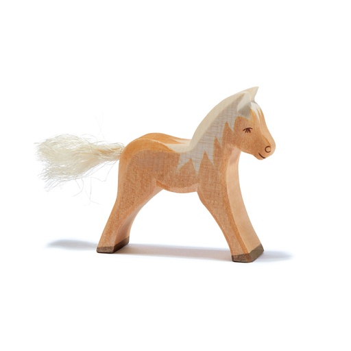 [105232] Haflinger Fohlen